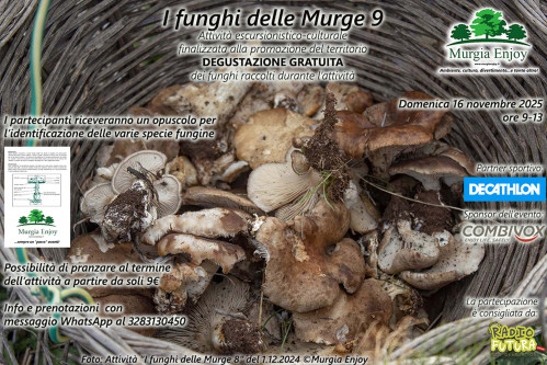 I funghi delle Murge 9 con Murgia Enjoy
