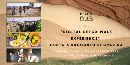 Digital Detox Walk Experience