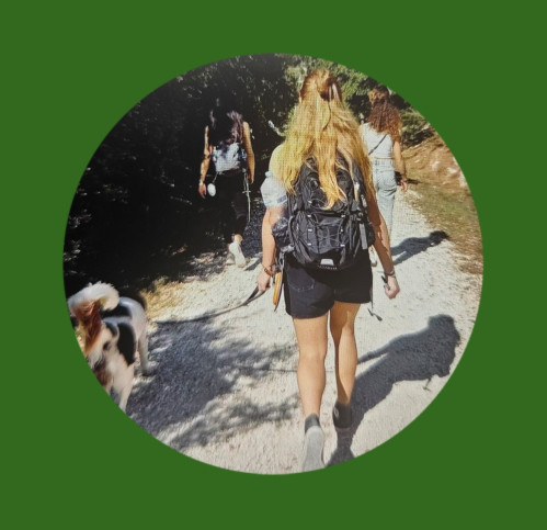 Camminata emozionale