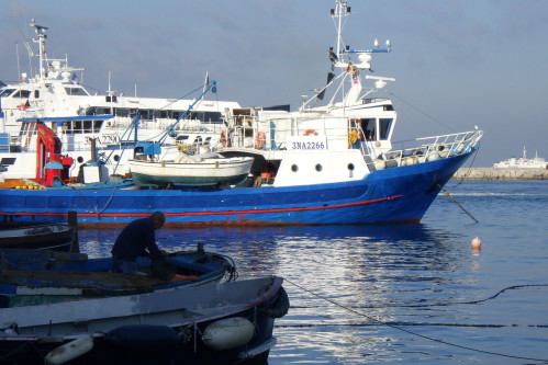 Con "Pesca Viva" a Procida un progetto per l’oro blu