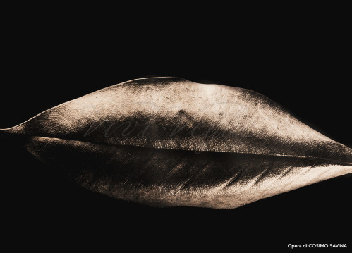 Il suono lontano per Intime visioni