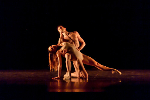 Il Lago dei Cigni - Balletto di Siena