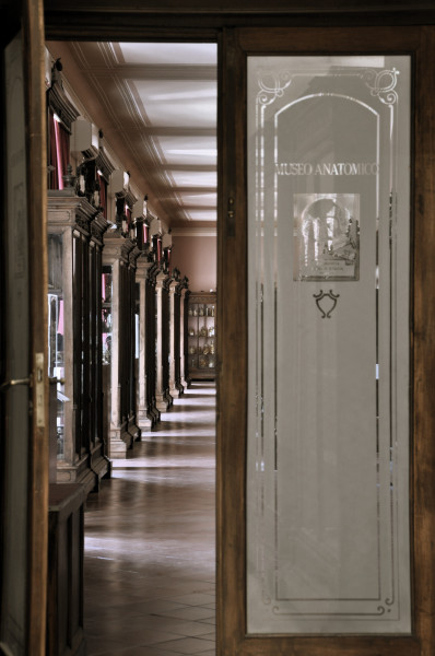 La Medicina alla Fondazione dello Studium