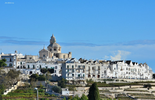 Il culto della Madonna d'Hodegitria, tra fede e tradizione