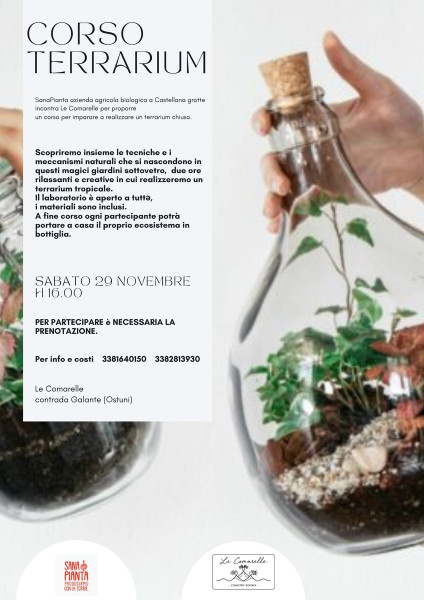 Corso di Terrarium