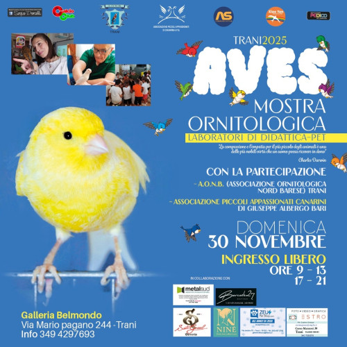 Aves Trani 2025 - Mostra Ornitologica e Laboratori di didattica pet a Trani