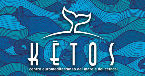 Visita guidata al KETOS, Centro Euromediterraneo del mare e dei cetacei