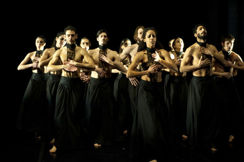 Ramificazioni Festival 2025