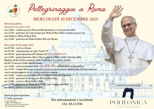 Udienza del Papa, Messa in San Pietro, Porta Santa