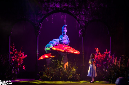 Alice nel Paese delle Meraviglie – Il Musical