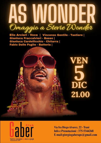 Omaggio a Stevie wonder