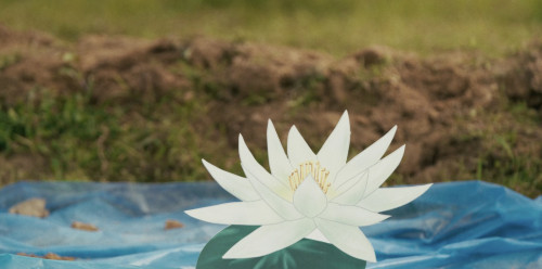 Mostra Falling di Driant Zeneli