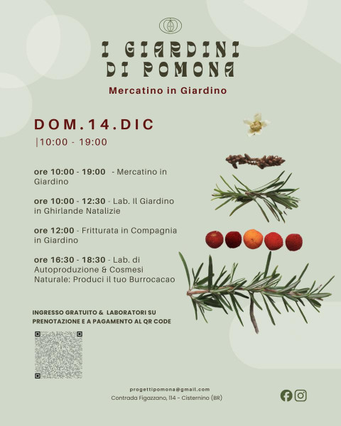 Il Mercatino in Giardino - Christmas Edition