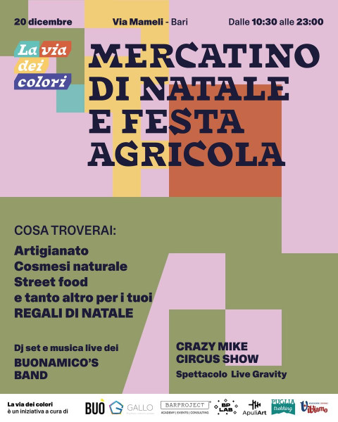 Il mercatino di Natale di via Mameli!