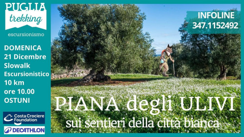 PIANA DEGLI ULIVI sui sentieri della città bianca