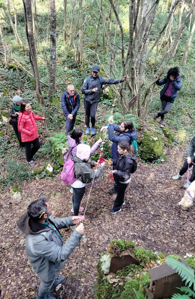 Escursione tra felci, muschi e presepe nel bosco