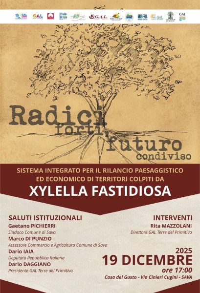 XYLELLA: MISURE E FINANZIAMENTI REGIONALI