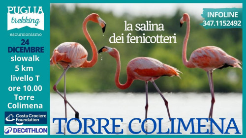 TORRE COLIMENA La salina dei fenicotteri