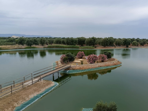 La biodiversità del Lago Forcatella