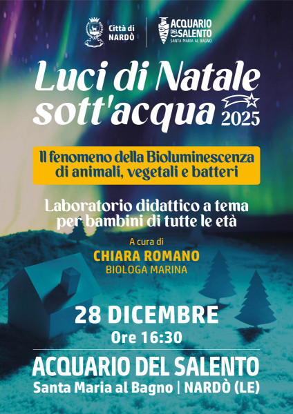 Natale Sott'Acqua: Le Luci del Mare