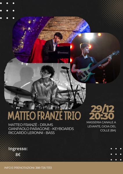 Matteo Franzè Trio - jazz concert-