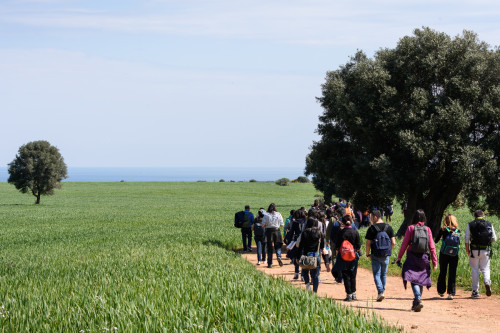 Trekking dagli olivi al mare nel Parco Dune Costiere