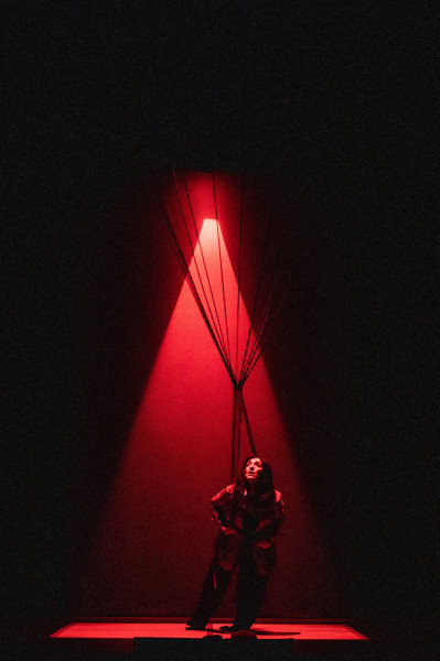 Nella lingua e nella spada — Elena Bucci