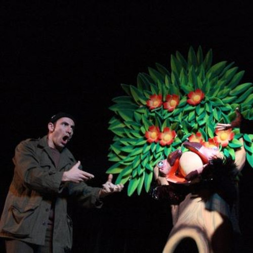 IL VOLO DEGLI UCCELLI