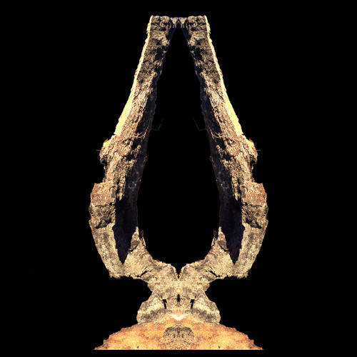 Il suono lontano per Icone