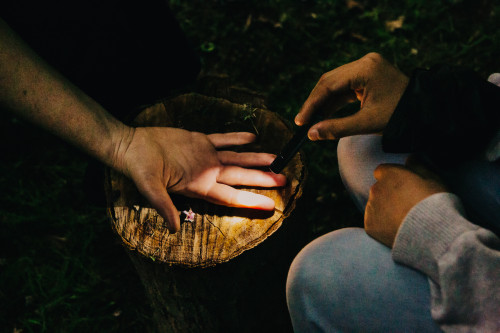 SPARKS di Francesca Grilli