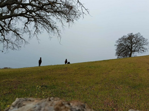 Il trekking di Santa Lucia ai Monti