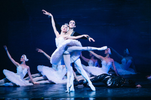 Il Lago dei Cigni - Russian Classical Ballet