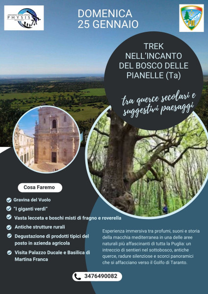 Trek nell'incanto del Bosco delle Piannelle (Ta)