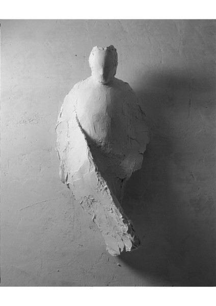 In Verso. Frammenti narrativi di Oliviero Rainaldi