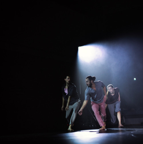 Segnali di risonanza - Ezio Schiavulli