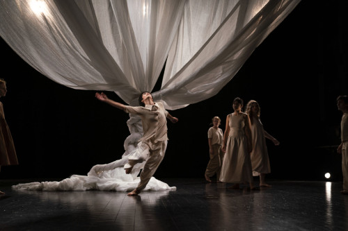 X di Xylella  Bibbia e Alberi Sacri