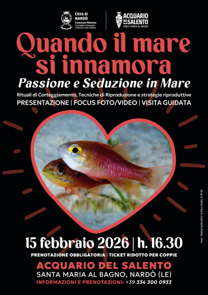 Quando il Mare si innamora