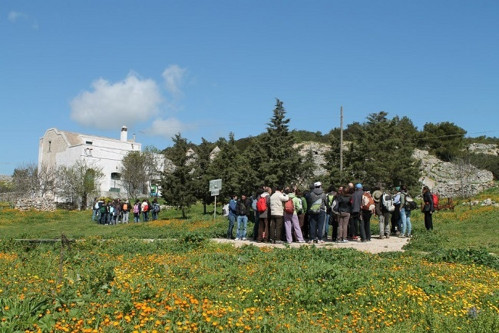 Trekking tra Monte Sant'Elia e la gravina di Corneto
