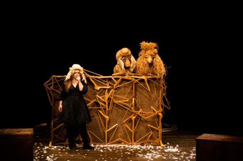 Cani, gatti e principesse