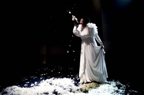 COME IL BRUTTO ANATROCCOLO