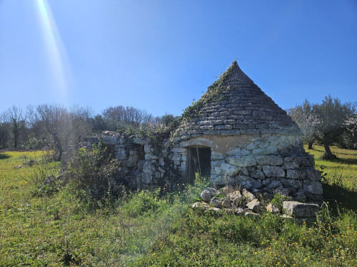 La Valle d'Itria dei trulli. Camminata paesaggistica