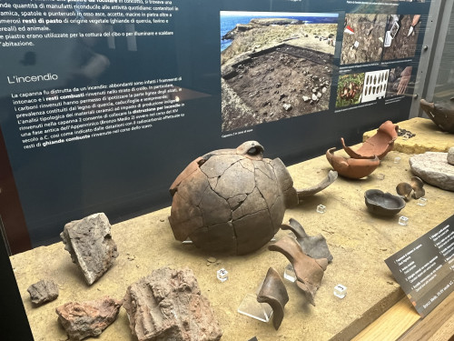 Torre Guaceto nell'età del Bronzo