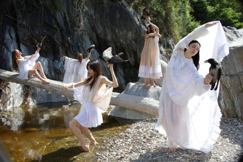 Cani lunari di Francesco Marilungo