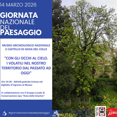 Con gli occhi al cielo - I volatili nel nostro territorio dal passato ad oggi