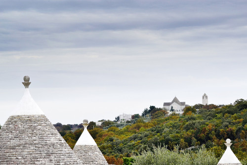 Sospesi tra l'Adriatico e la Valle d'Itria