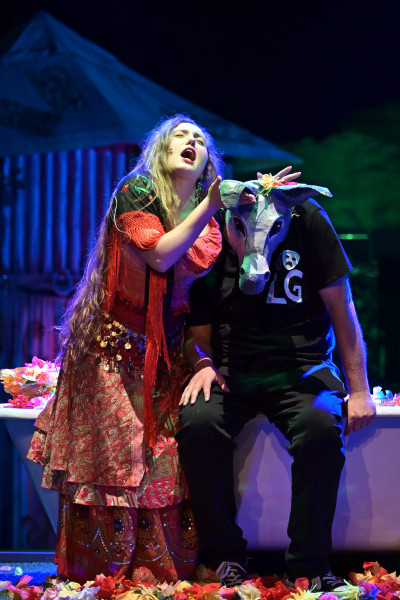 La comprensione della diversità