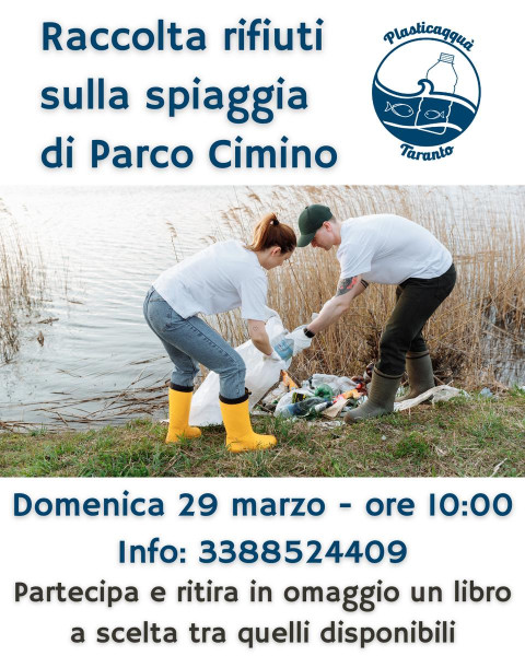 Rccolta rifiuti volontaria