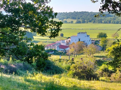 A passi lenti lungo la via dell' acqua