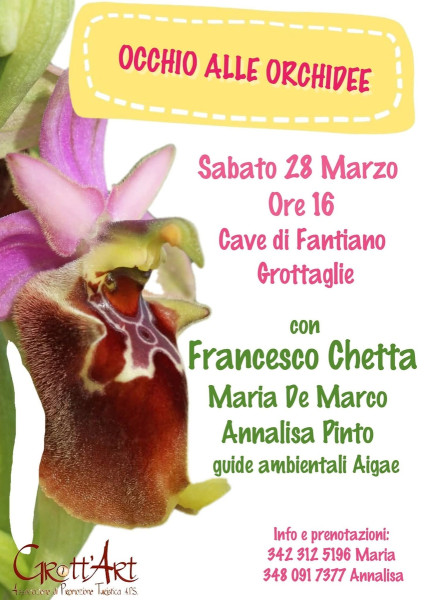Occhio alle Orchidee