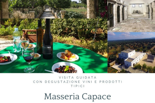 Camminando tra gli ulivi secolari...